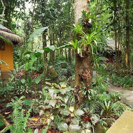 Korrigan Lodge Cahuita Exteriér fotografie
