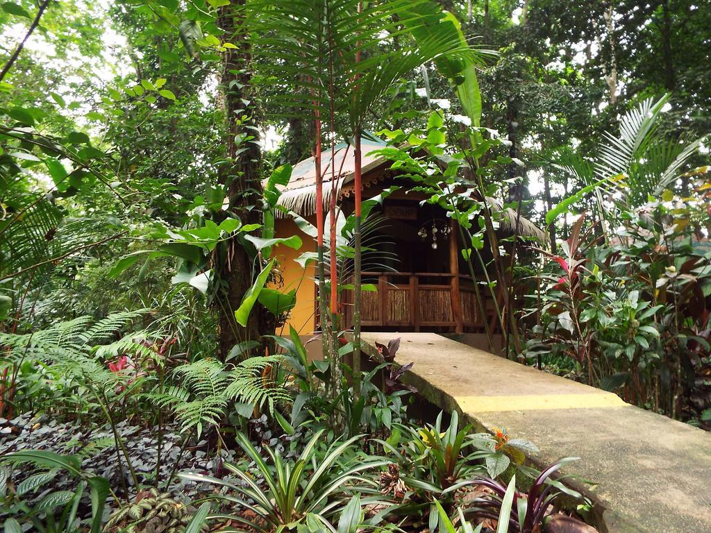 Korrigan Lodge Cahuita Pokoj fotografie