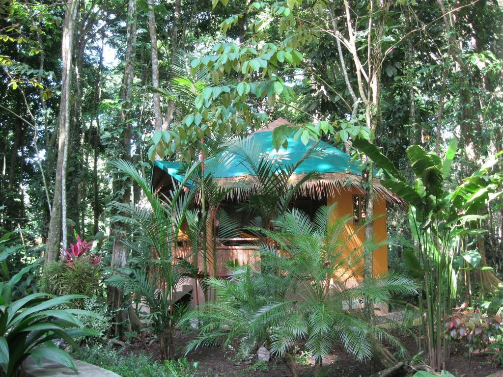 Korrigan Lodge Cahuita Pokoj fotografie