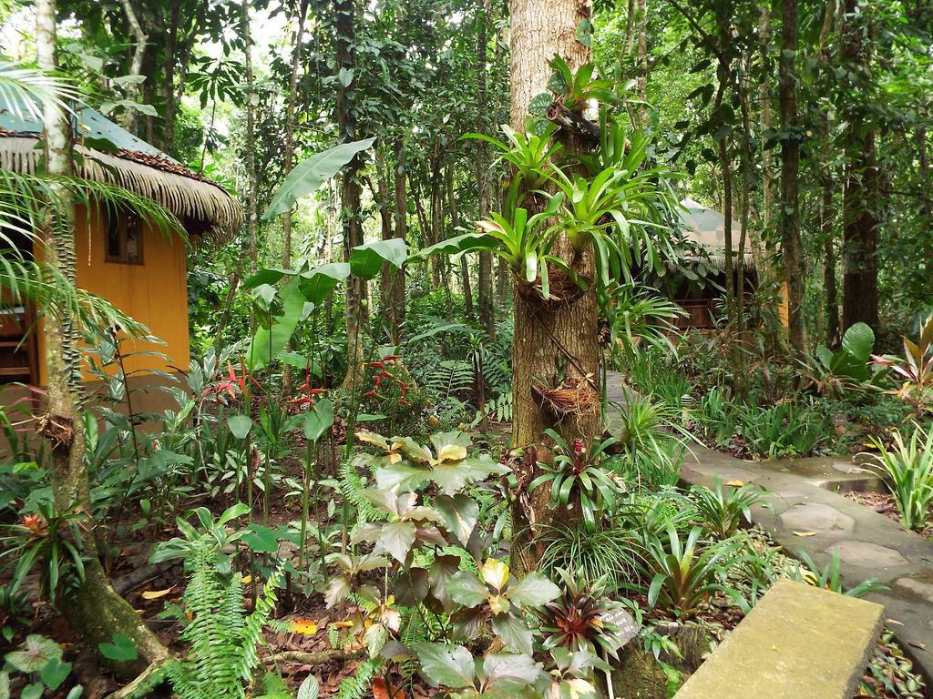 Korrigan Lodge Cahuita Exteriér fotografie