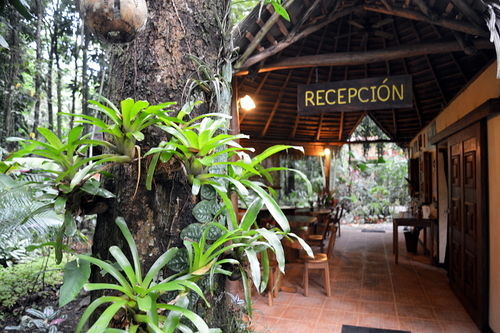 Korrigan Lodge Cahuita Exteriér fotografie