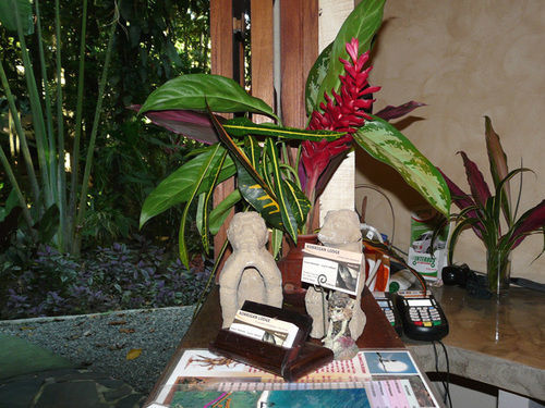 Korrigan Lodge Cahuita Exteriér fotografie
